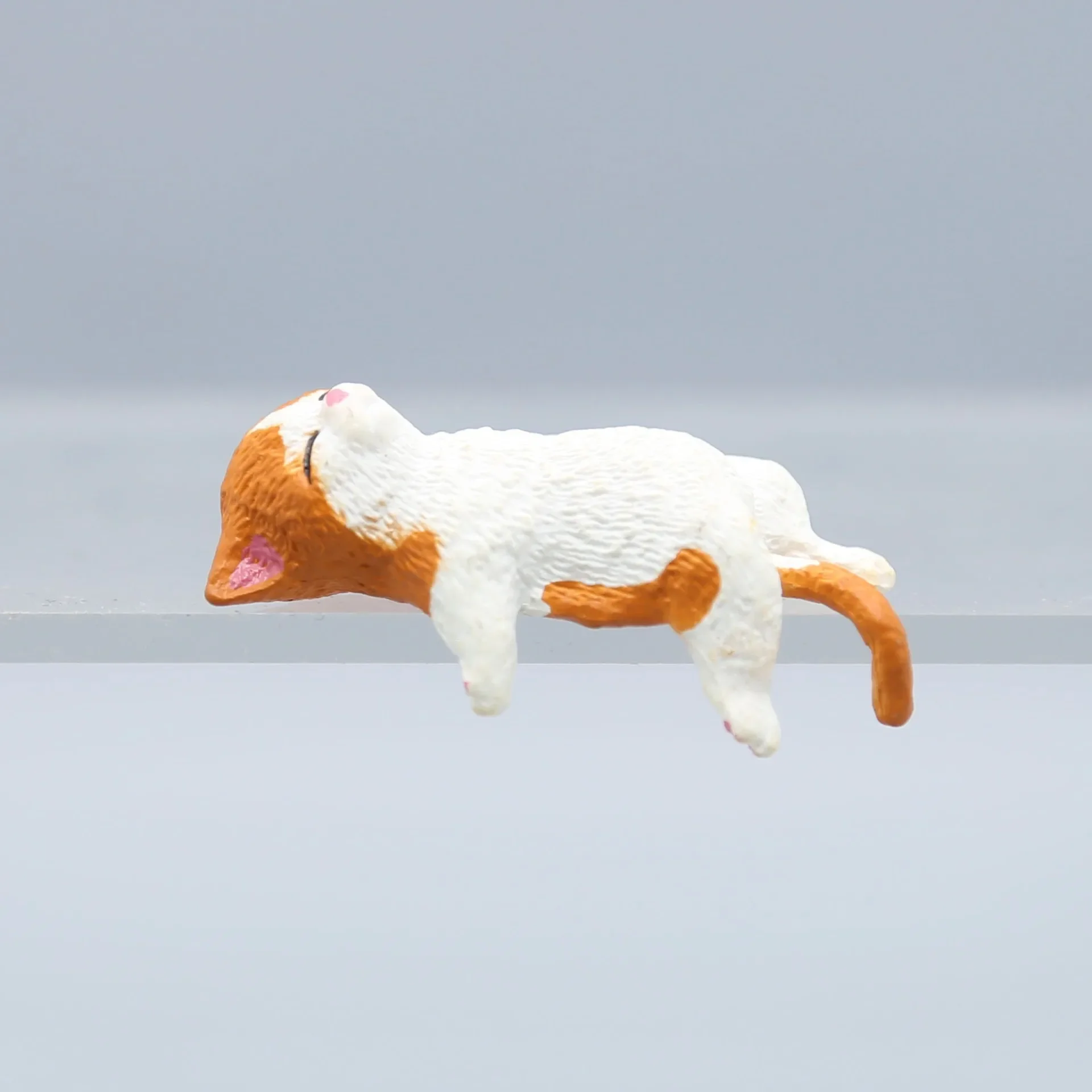 Aquarium Fish For Beginners - Cute Cartoon Cat Decor PVC Home