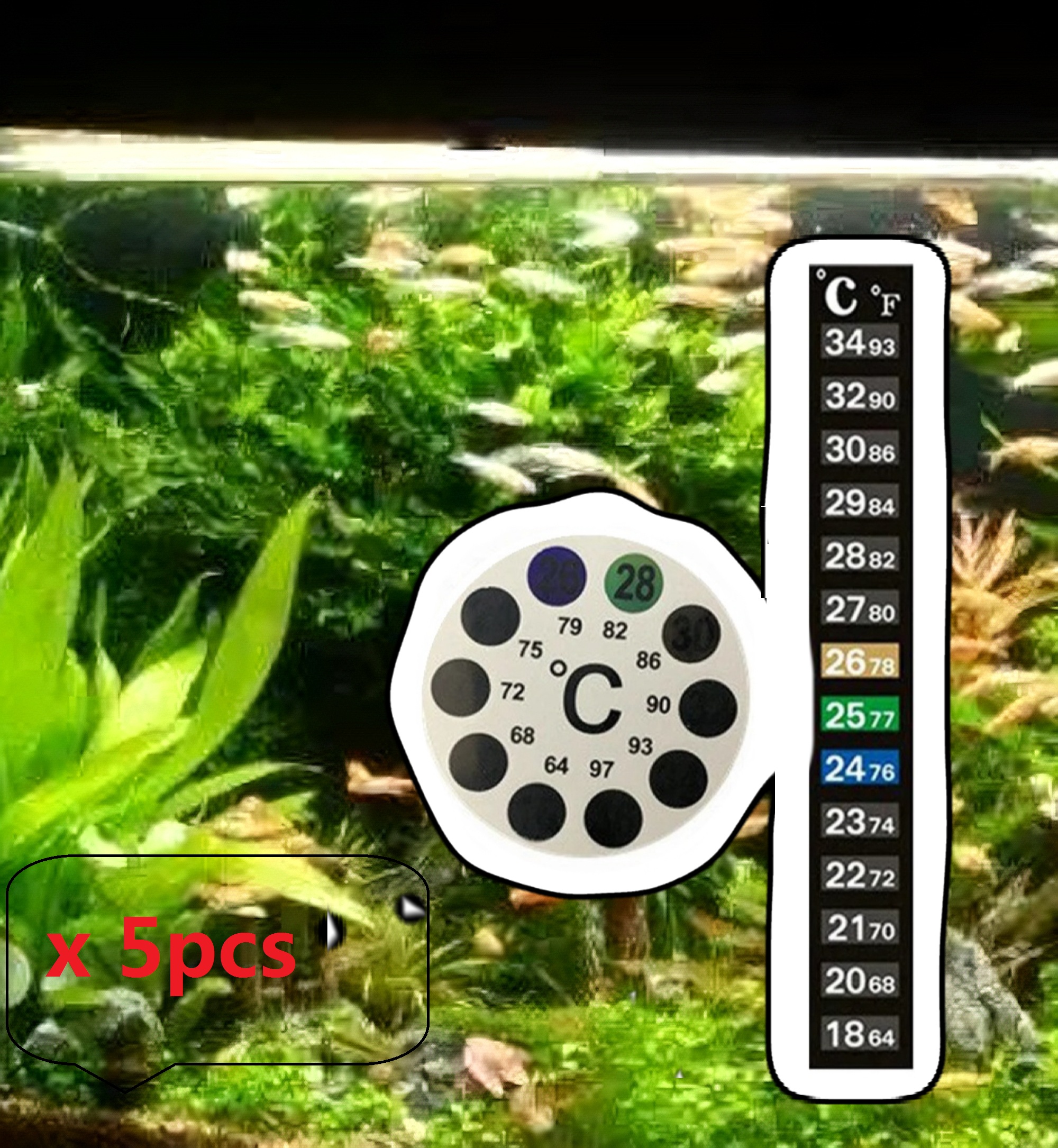 Aquarium Fish Black - 5Pcs Home Aquarium Fish Tank Color
