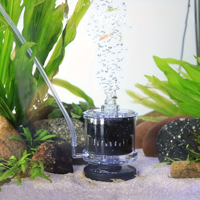 Aquarium Filter Fish Poop Stoo - đánh giá và giá Aquarium Fish Waste Collector
