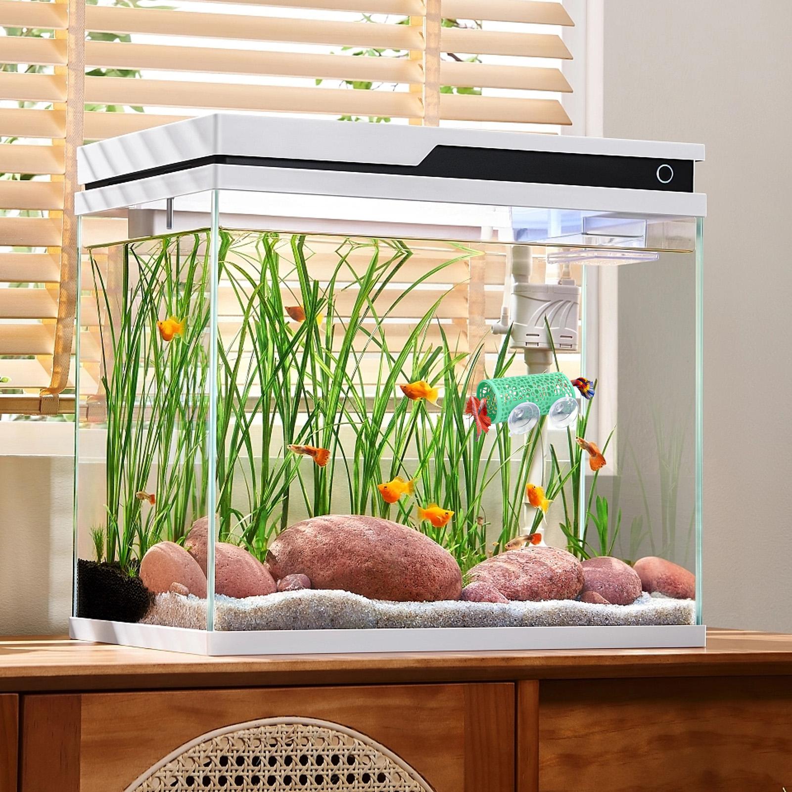 Betta Habitat Resting Shelter  - đánh giá và giá Aquarium Fish Youtube