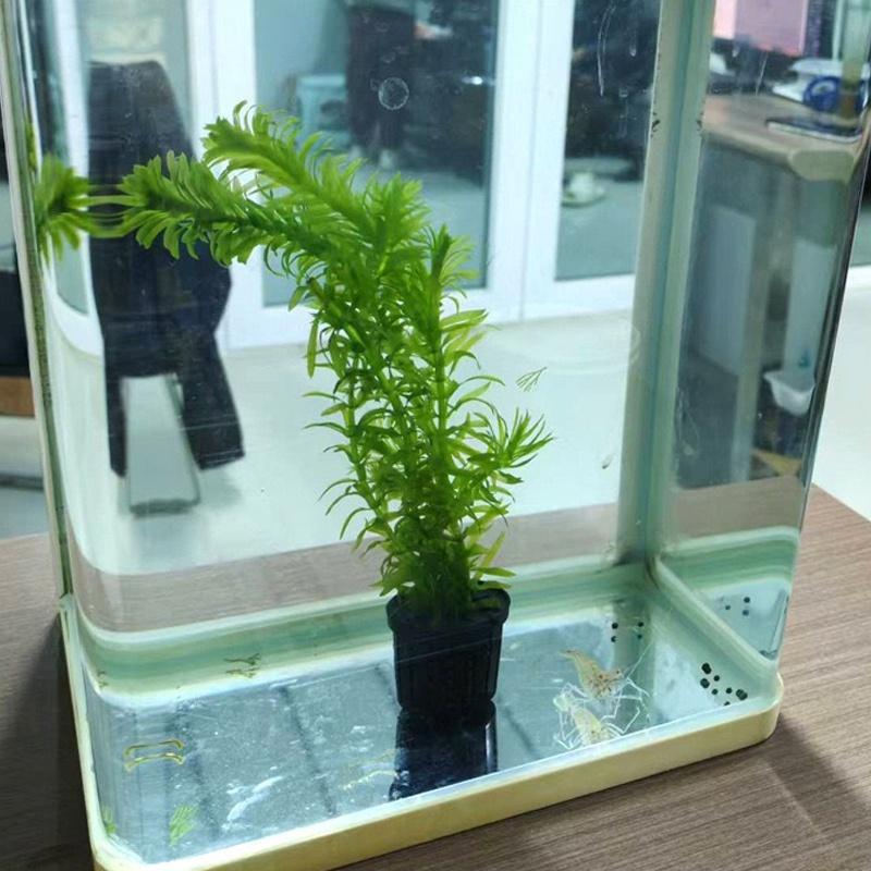 4Pcs Pet Fish Tank Landscaping - đánh giá và giá Aquarium Fish In