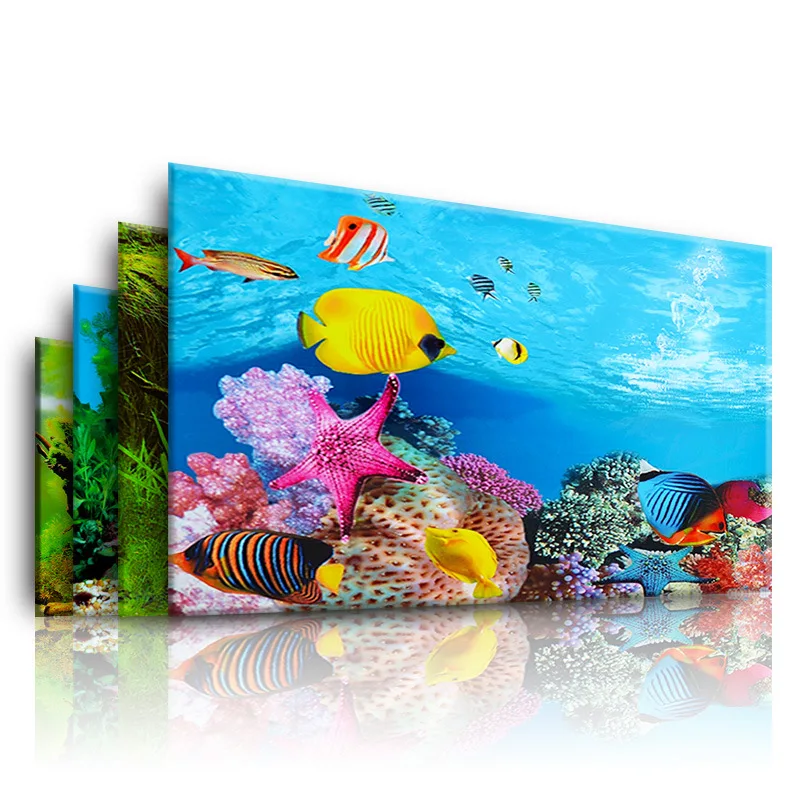 Background for Aquarium 3d  St - đánh giá và giá Aquarium Fish Tank Price