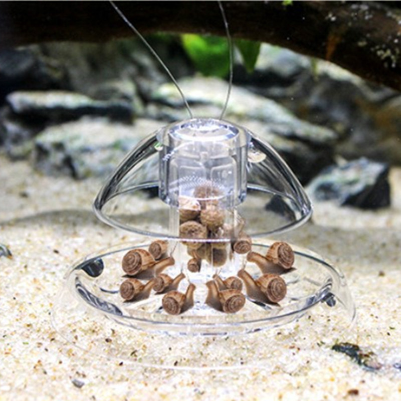 1PCS Fish Tank Aquarium Cleane - đánh giá và giá Aquarium Fish Escape