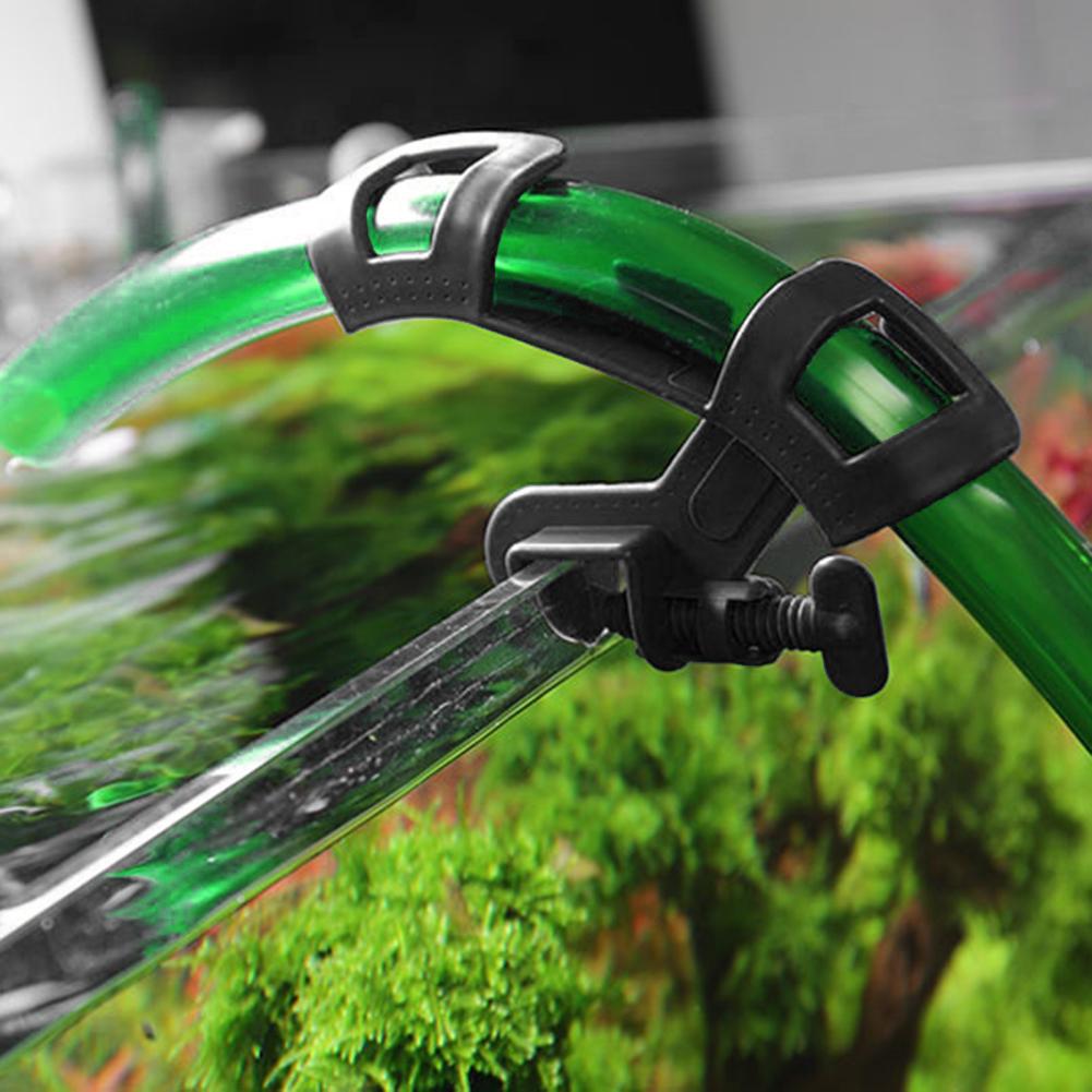 Aquarium Filtration Holder Wat - đánh giá và giá Aquarium Fish Youtube