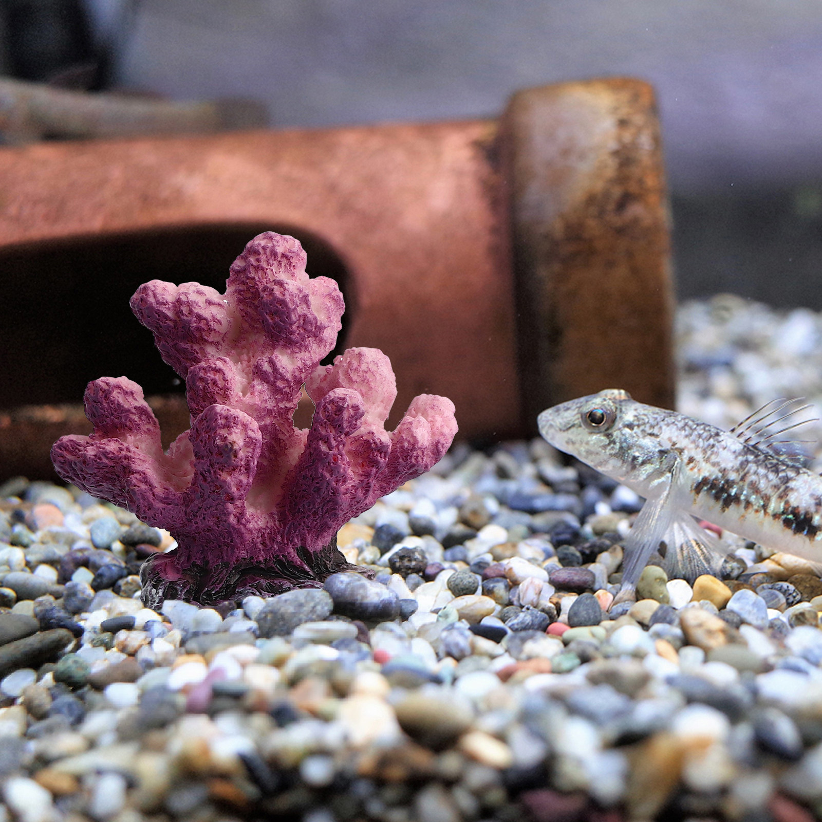 3Pcs Lifelike Resin Coral Deco - đánh giá và giá Aquarium Fish In