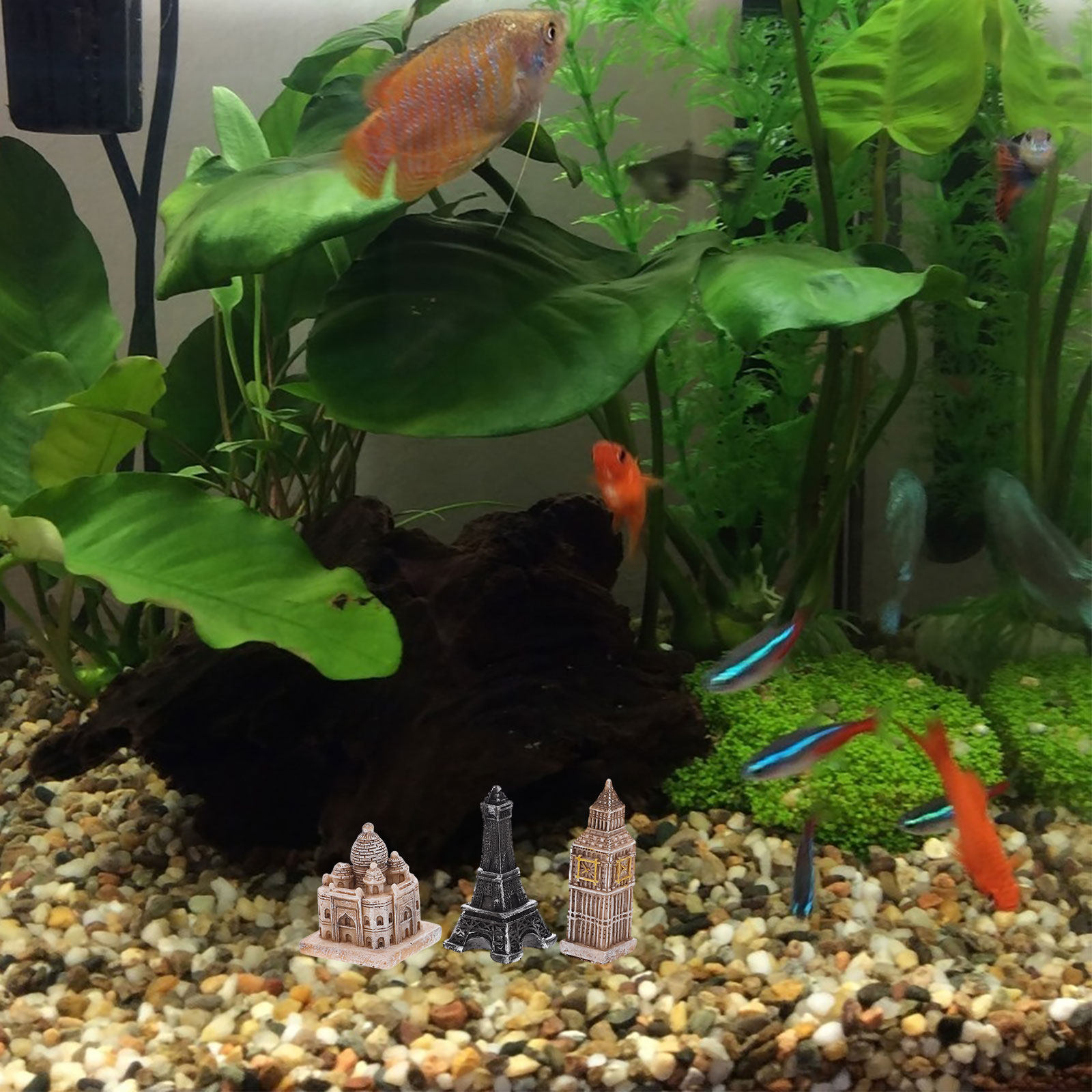 7Pcs Roman Sculpture Set Minia - đánh giá và giá Aquarium Fish In