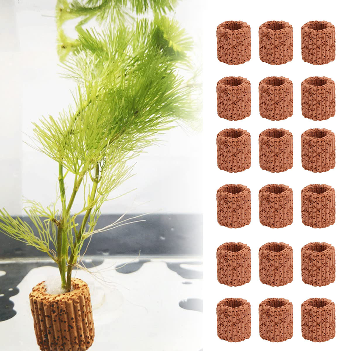 10/20Pcs Aquatic Water Plant F - đánh giá và giá Aquarium Fish Tank Price