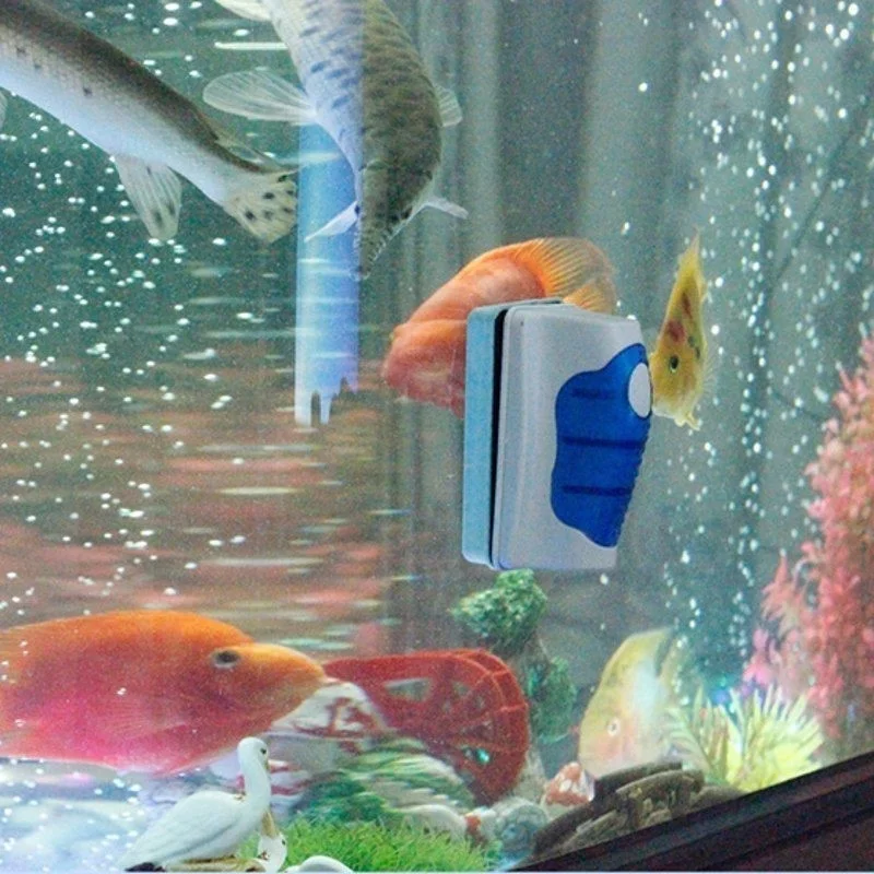 Fish Tank Glass Scraper Cleane - đánh giá và giá Aquarium Fish Escape