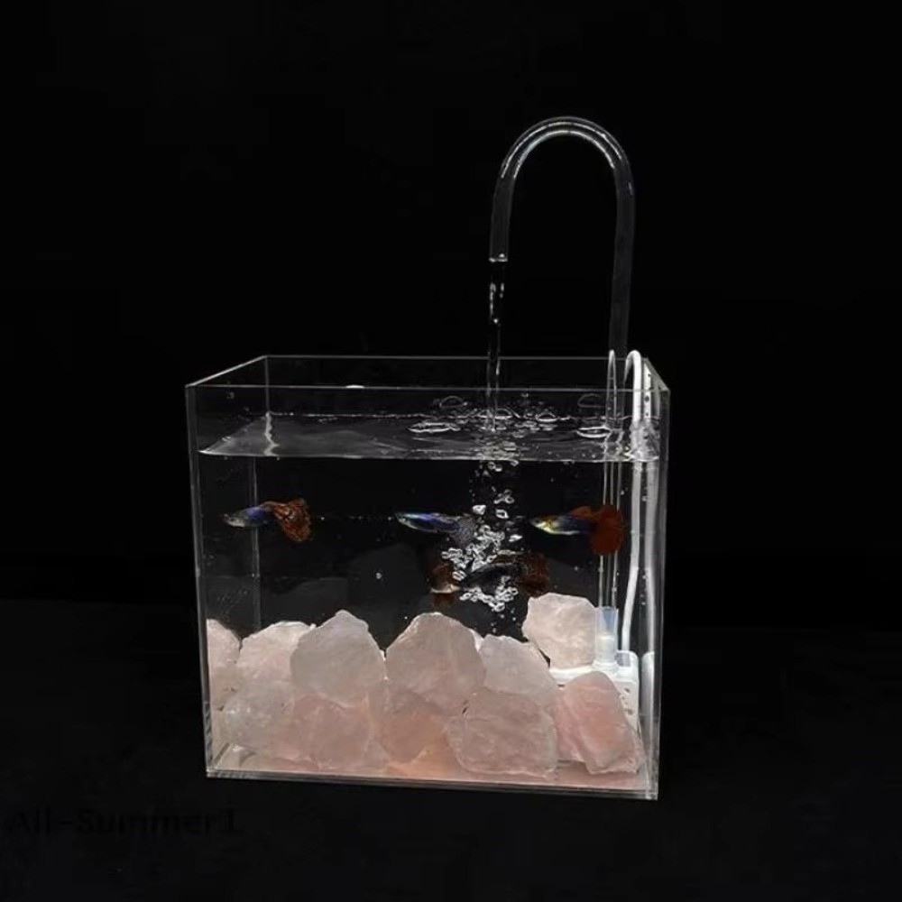 Mini Fish Tank Water Pump Suct - đánh giá và giá Aquarium Fish Youtube