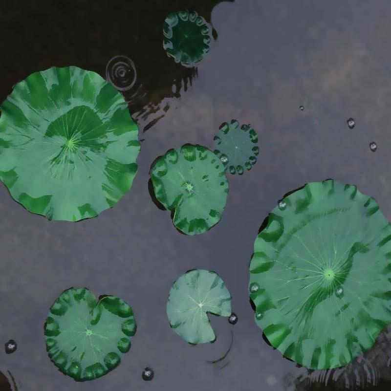 2026 Artificial Water Lily Lot - đánh giá và giá Aquarium Fish Escape