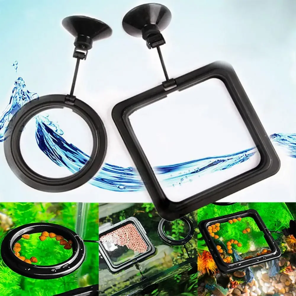 Feed Suction Cup Aquarium Feed - đánh giá và giá Aquarium Fish Escape