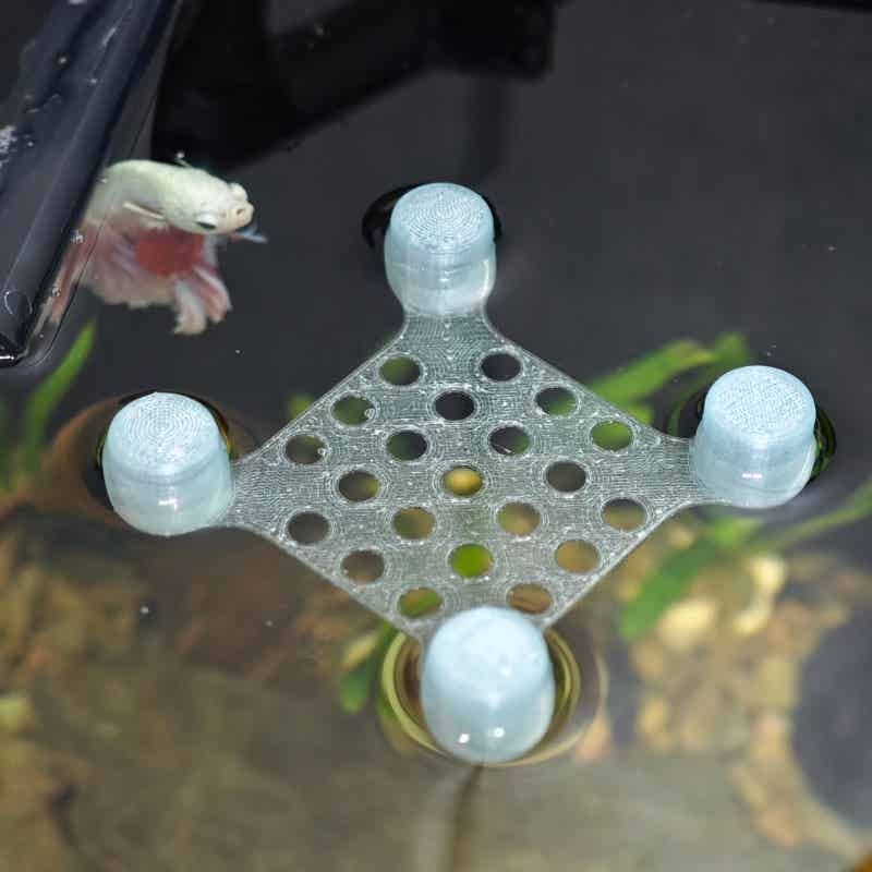 Betta Fish Rest Bed Suction Cu - đánh giá và giá Aquarium Fish Escape