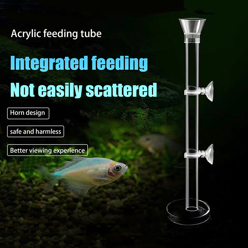 [H]Acrylic Aquarium Feeder Tub - đánh giá và giá Aquarium Fish Youtube