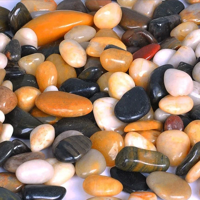 250g 500g Natural Aquarium Dec - đánh giá và giá Aquarium Fish Farm