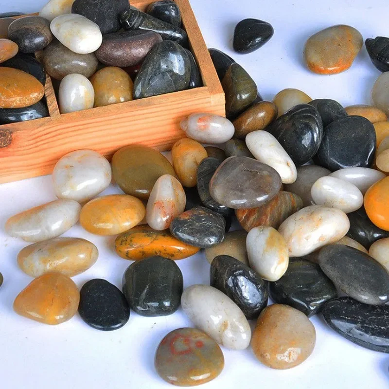250g 500g Natural Aquarium Dec - đánh giá và giá Aquarium Fish Farm