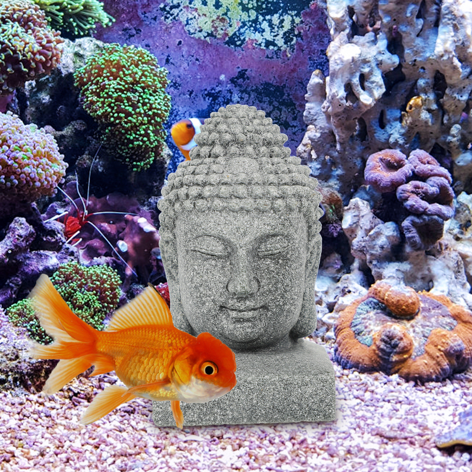 Desktop Buddha Statue Chinese  - đánh giá và giá Aquarium Fish In