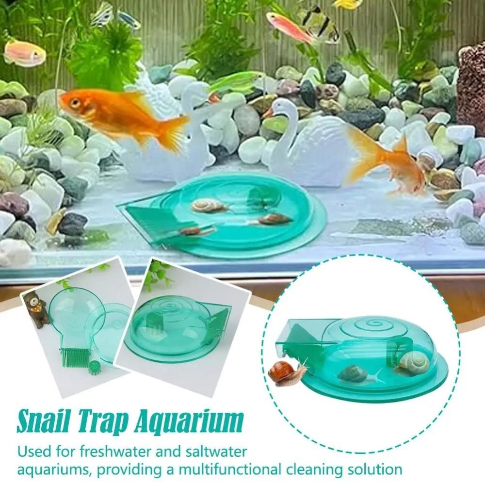 Freshwater Saltwater Aquarium  - đánh giá và giá Aquarium Fish Escape