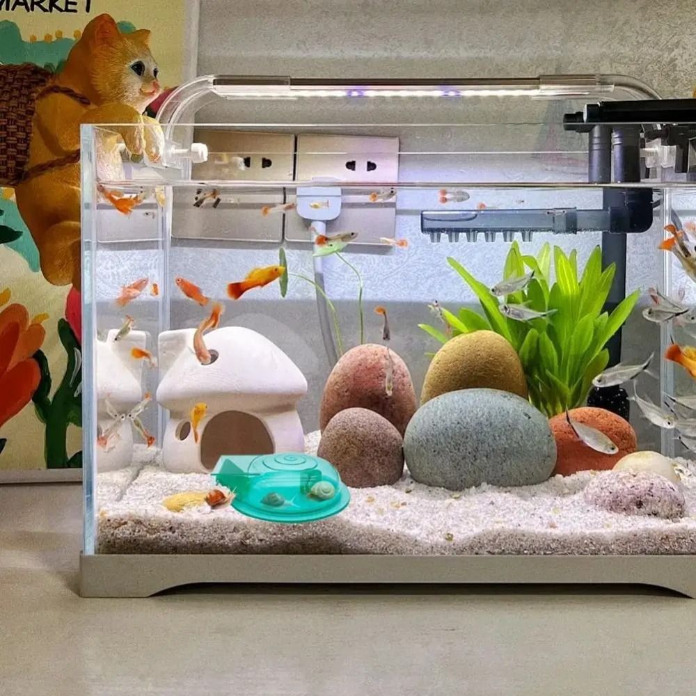 Freshwater Saltwater Aquarium  - đánh giá và giá Aquarium Fish Escape