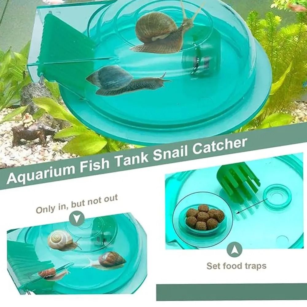 Freshwater Saltwater Aquarium  - đánh giá và giá Aquarium Fish Escape