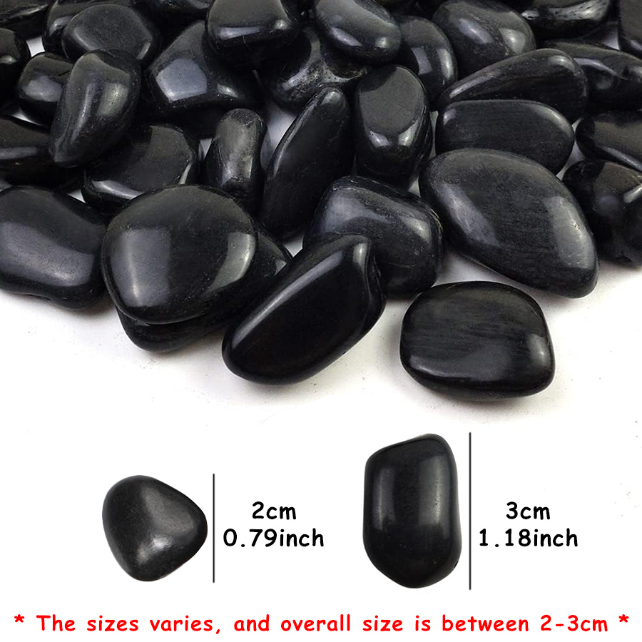 200g Black High Polished Natur - đánh giá và giá Aquarium Fish Farm