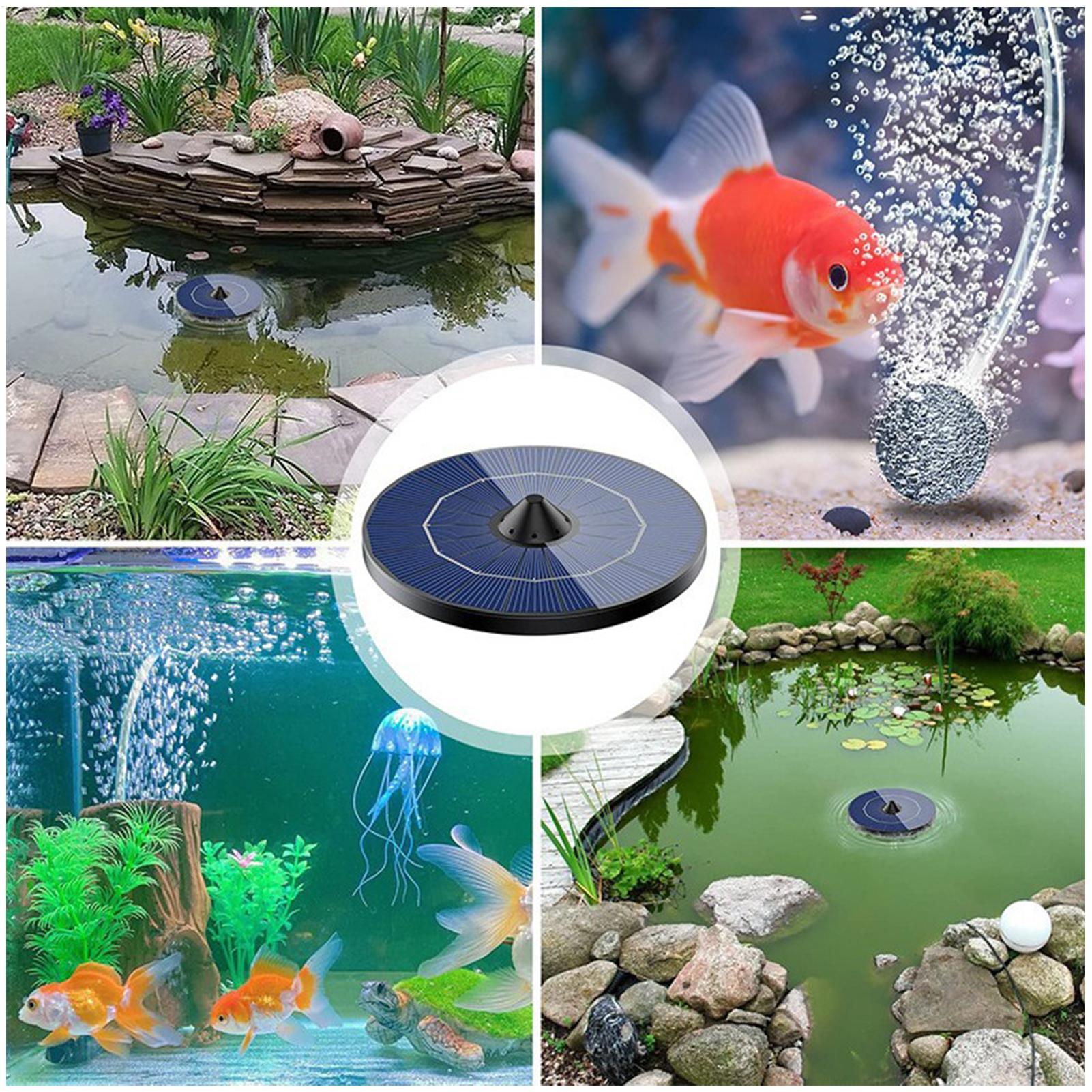 Solar-powered pond aerator pum - đánh giá và giá Aquarium Fish Escape