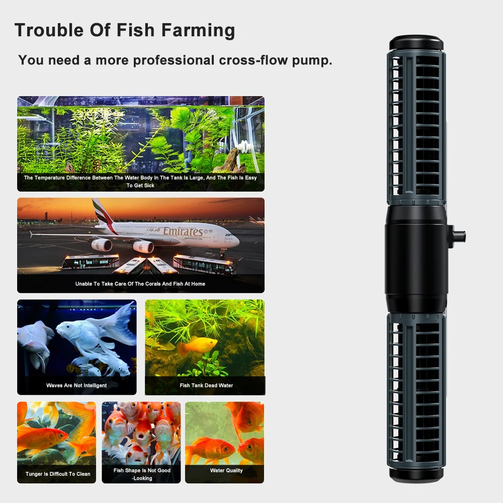 Jebao Jecod New DCW Series Blu - đánh giá và giá Aquarium Fish For Beginners