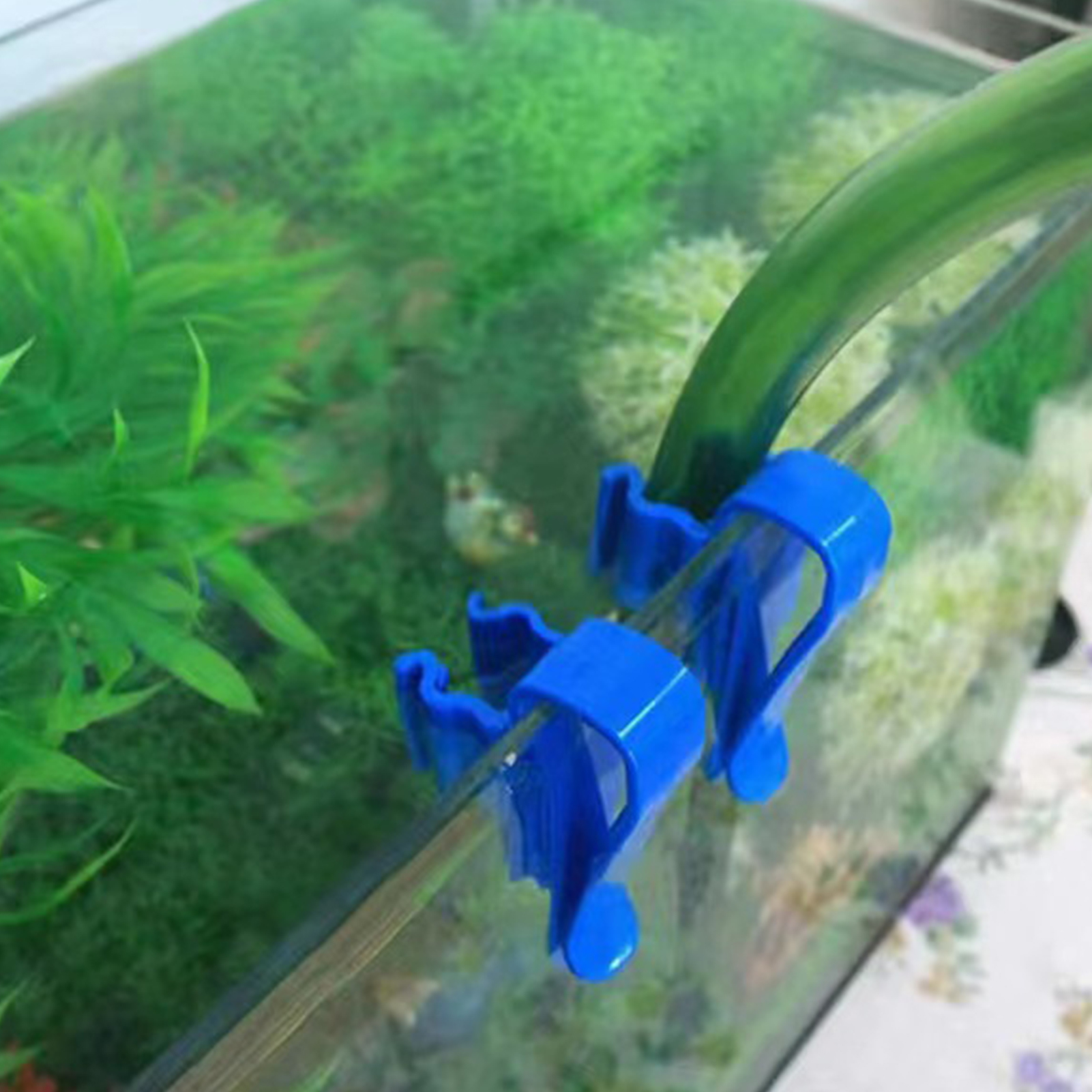 Aquarium Tube Holder Clip Fish - đánh giá và giá Aquarium Fish Youtube