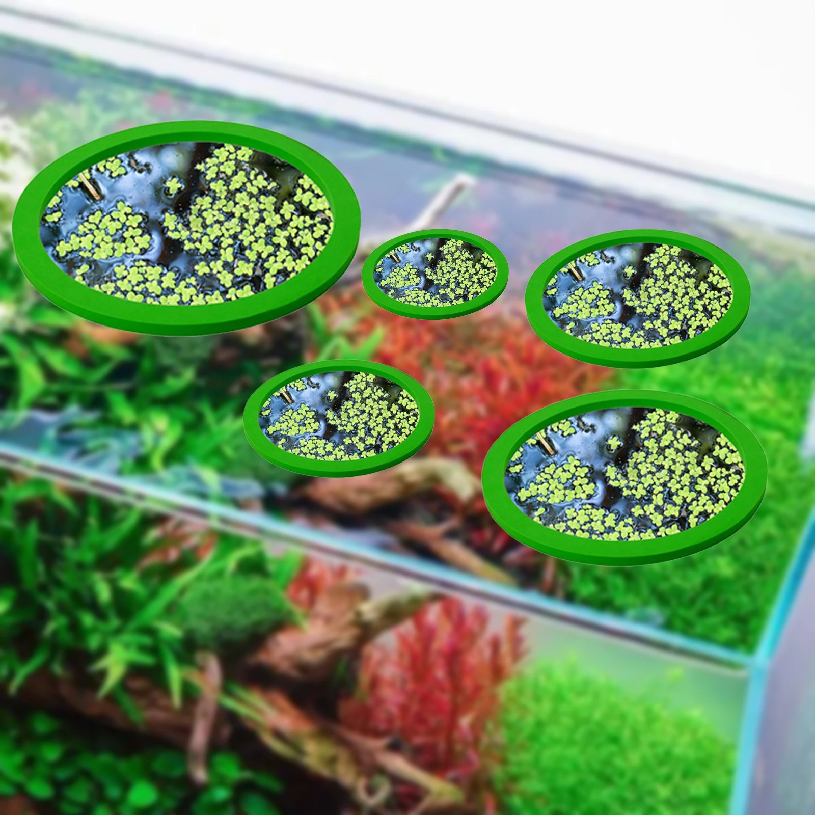 5Pcs EVA Fish Feeding Ring Aqu - đánh giá và giá Aquarium Fish In