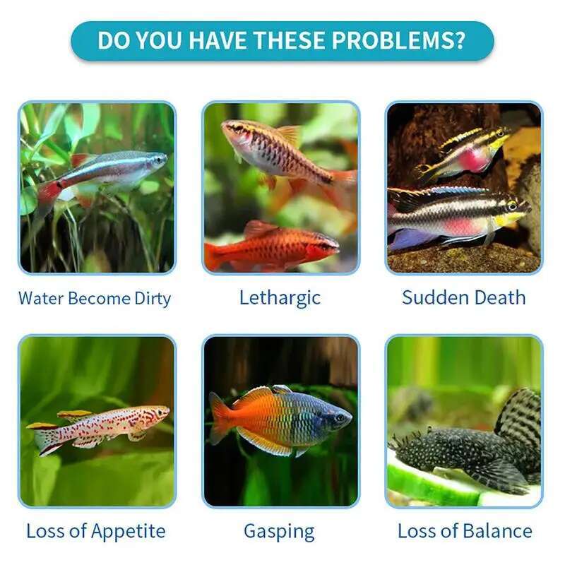 100pcs Nitrite Nitrate Chlorin - đánh giá và giá Aquarium Test Kit