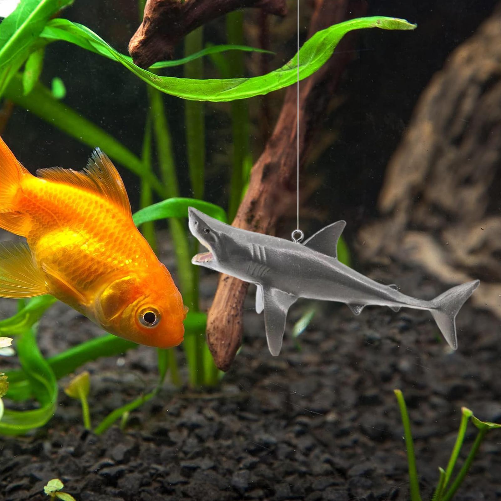 Floating Shark Aquarium Landsc - đánh giá và giá Aquarium Fish Escape