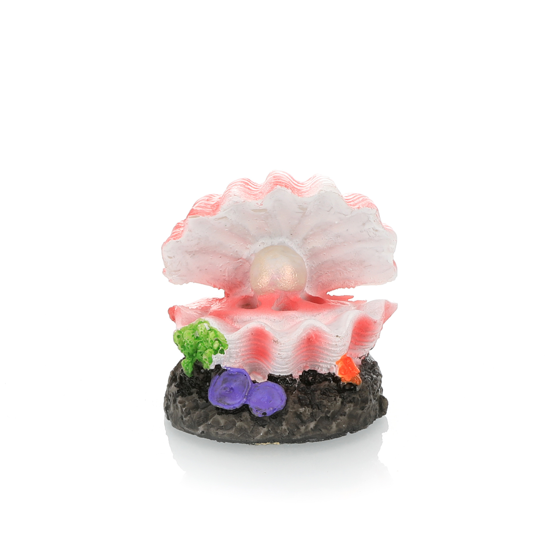 Fish Tank Landscaping Simulati - đánh giá và giá Aquarium Fish Tank Price