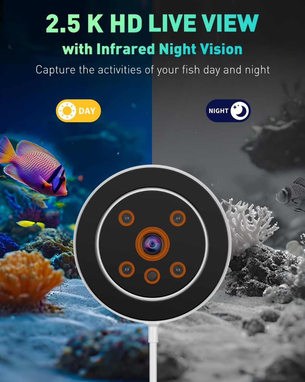 WiFi Automatic Fish Feeder for - đánh giá và giá Aquarium Fish Video