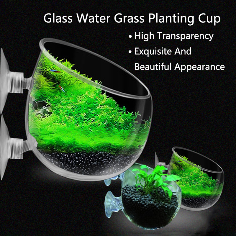 Glass Aquarium Decoration Hang - đánh giá và giá Aquarium Fish Tank Price