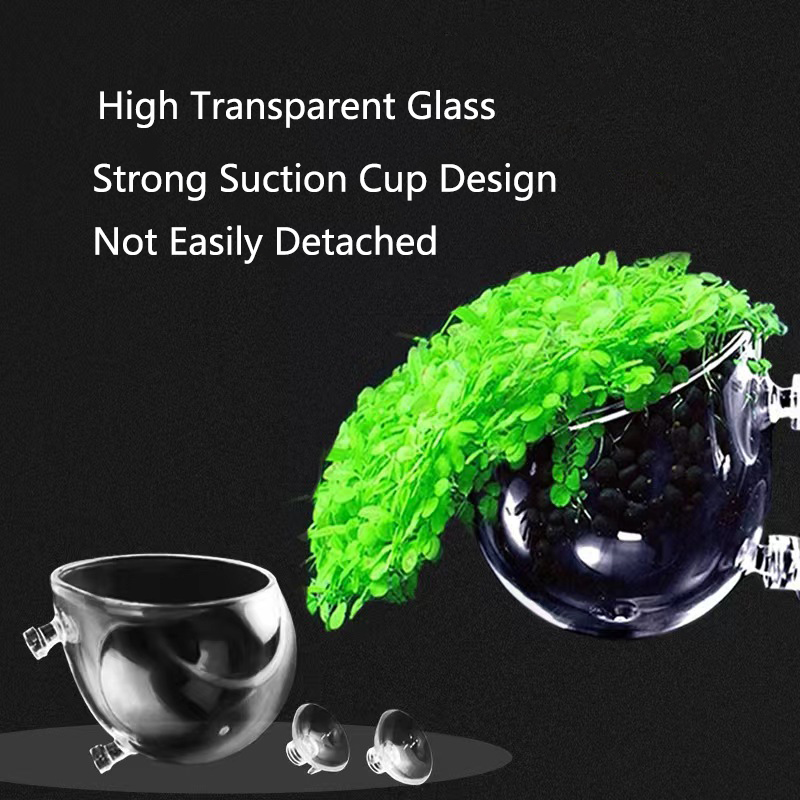 Glass Aquarium Decoration Hang - đánh giá và giá Aquarium Fish Tank Price