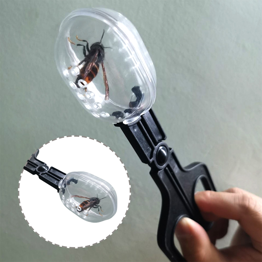 Portable Transparent Insect Ca - đánh giá và giá Aquarium Fish For Beginners