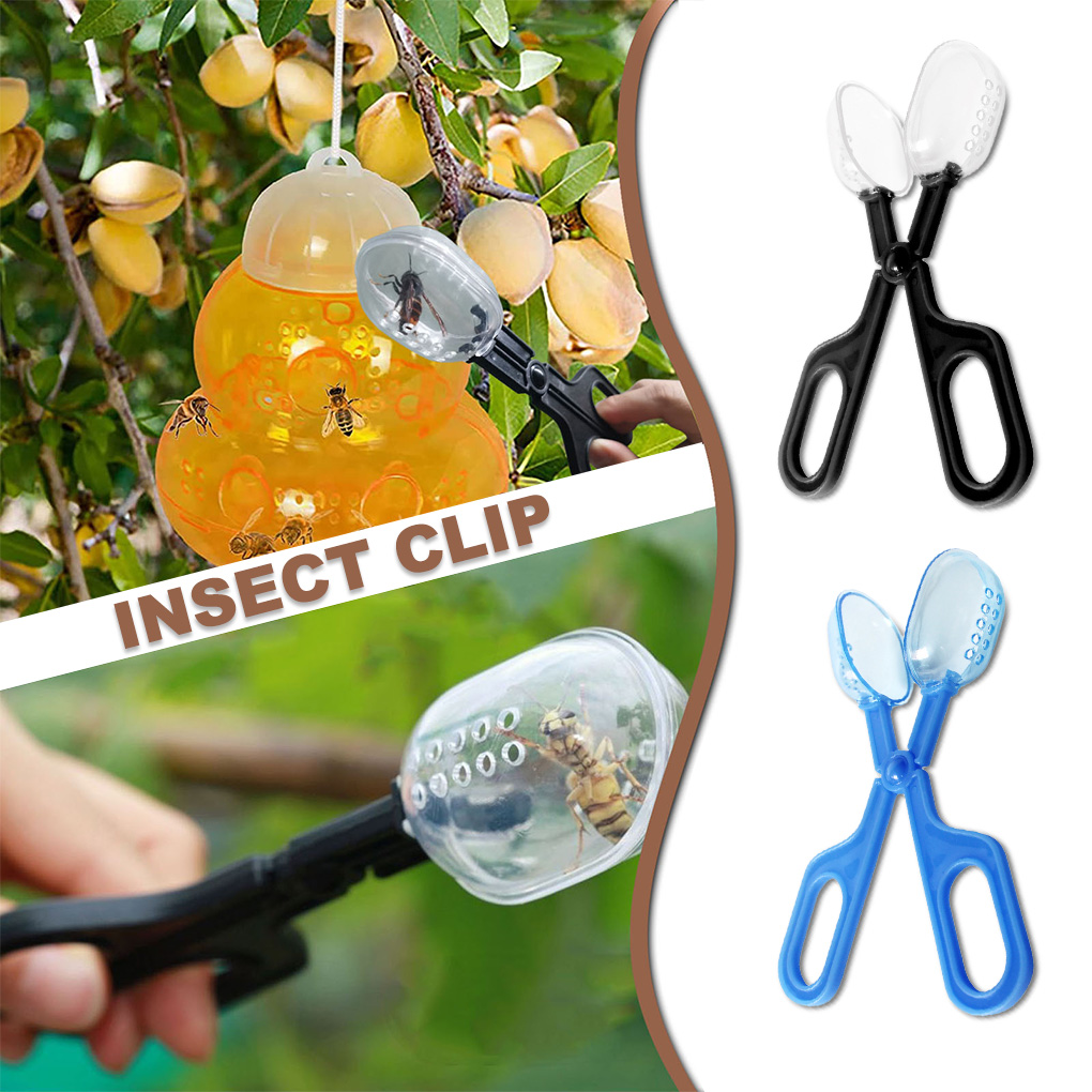 Portable Transparent Insect Ca - đánh giá và giá Aquarium Fish For Beginners