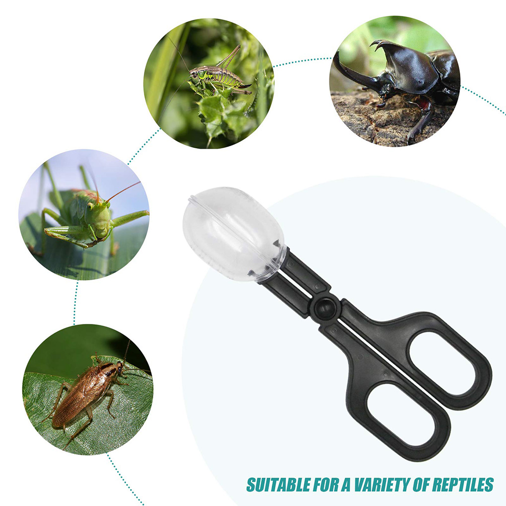 Portable Transparent Insect Ca - đánh giá và giá Aquarium Fish For Beginners