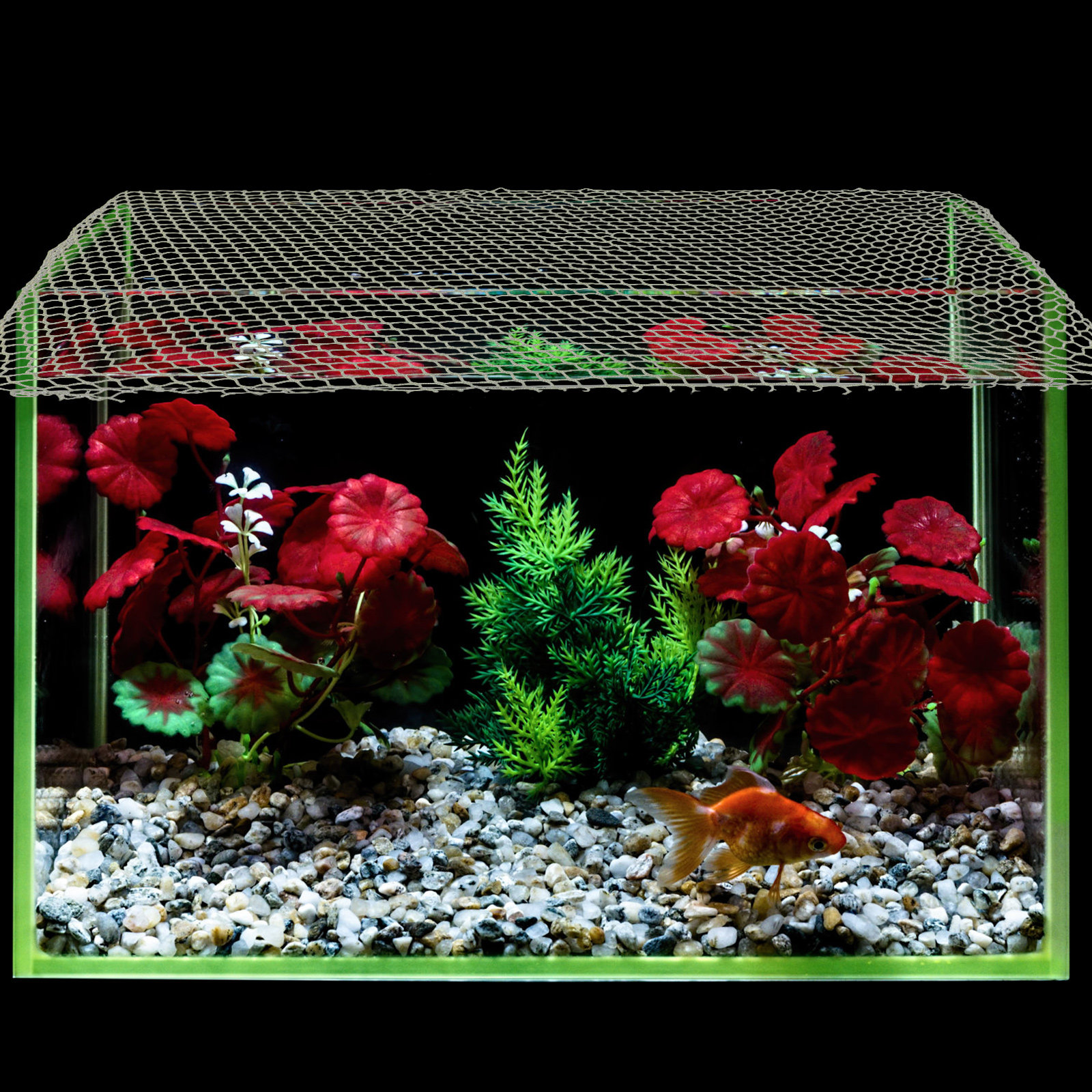 Aquarium Anti-Jumping Mesh Cov - đánh giá và giá Aquarium Fish Escape