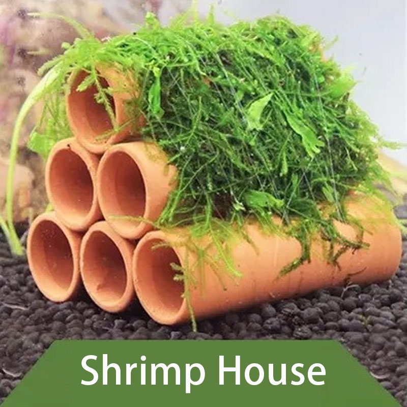 Clay Aquarium Decoration Fish  - đánh giá và giá Aquarium Fish Tank Price