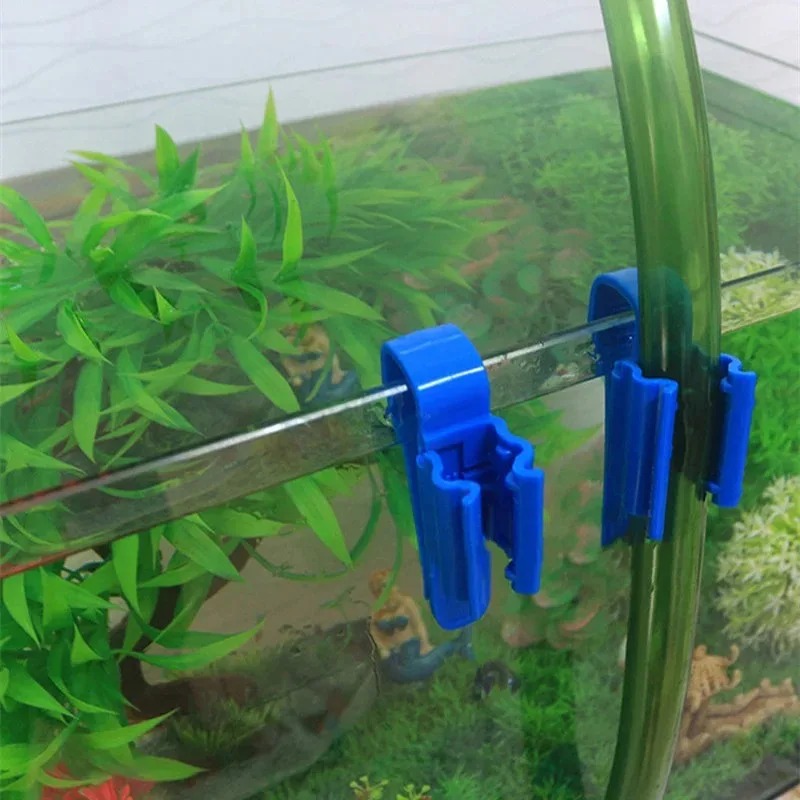Aquarium Tank Accessories Filt - đánh giá và giá Aquarium Fish Youtube