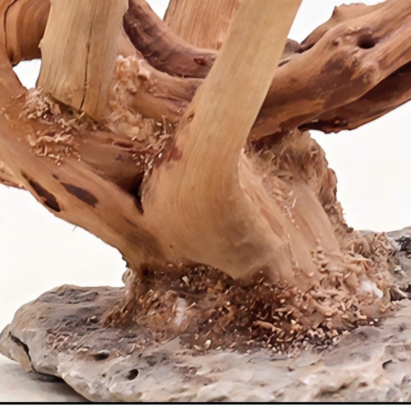 1PC Aquarium Landscaping Wood  - đánh giá và giá Aquarium Fish Tank Price