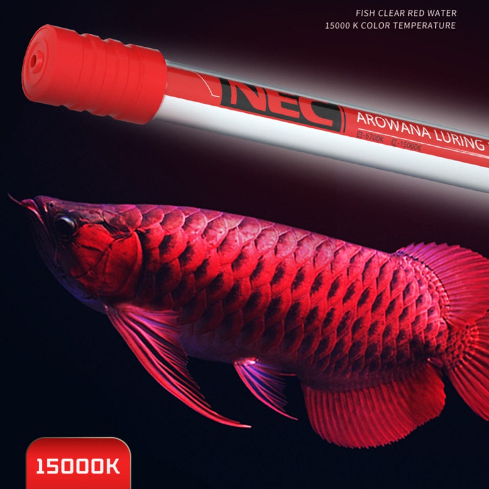 NEC-Arowana Lamp Color Brighte - đánh giá và giá Aquarium Fish For Beginners