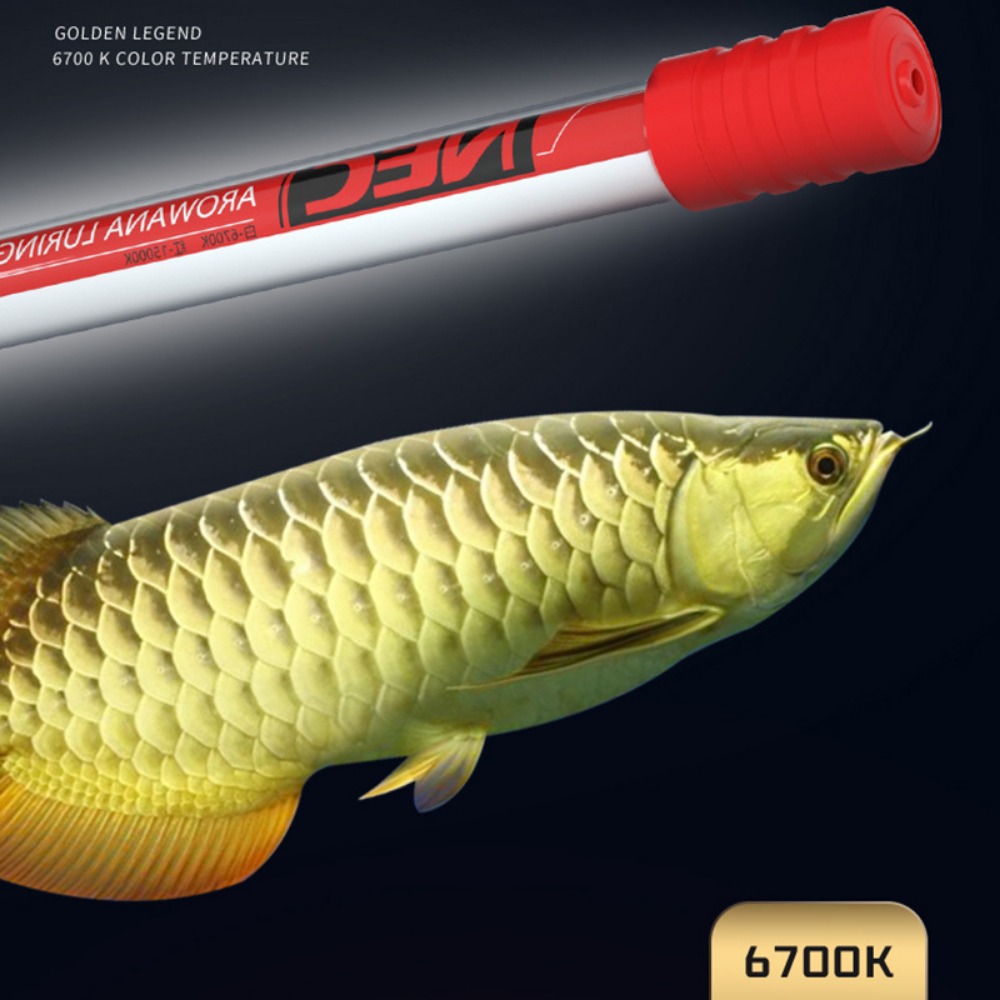 NEC-Arowana Lamp Color Brighte - đánh giá và giá Aquarium Fish For Beginners
