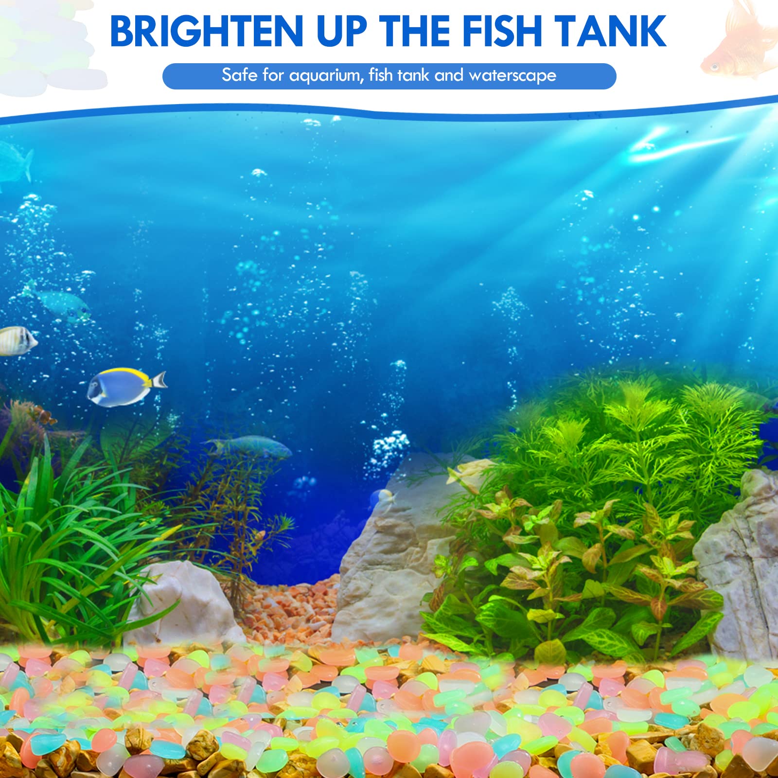 100Pcs Glow in the Dark Garden - đánh giá và giá Aquarium Fish Farm