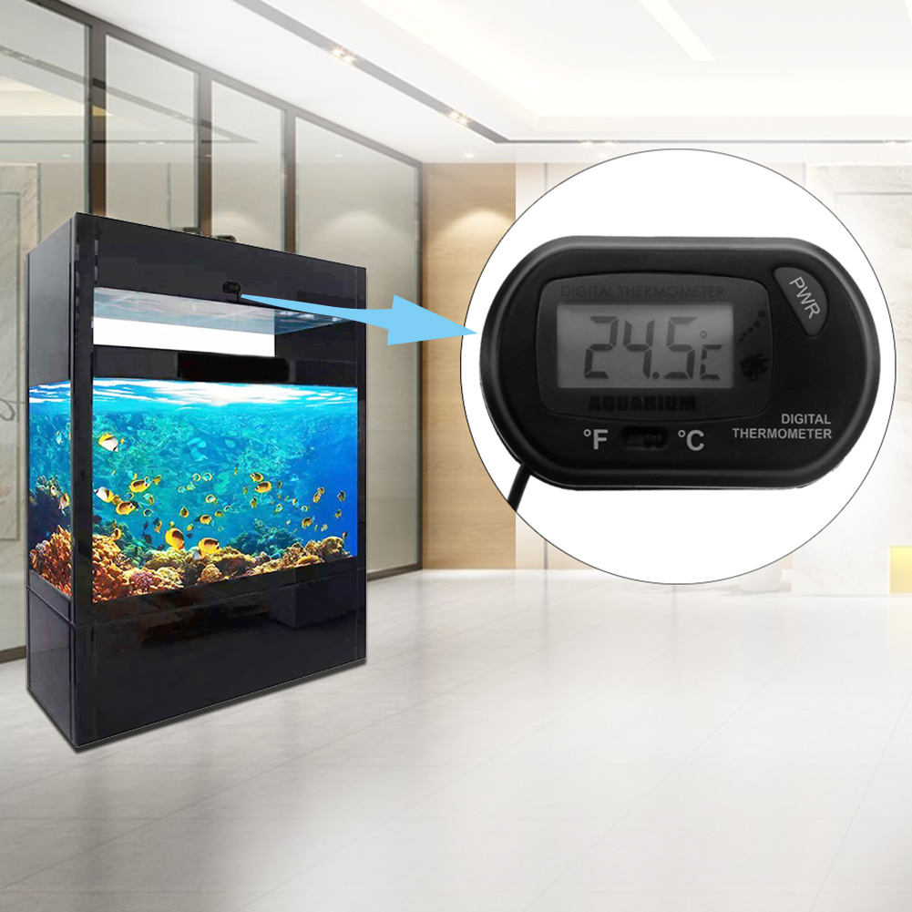 Aquarium Thermometer Suction C - đánh giá và giá Aquarium Fish Black