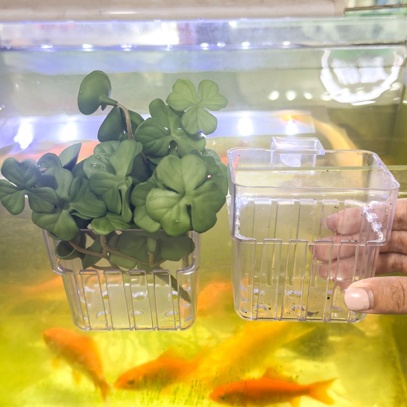 1/5pcs Aquarium Decoration Pla - đánh giá và giá Aquarium Fish Farm