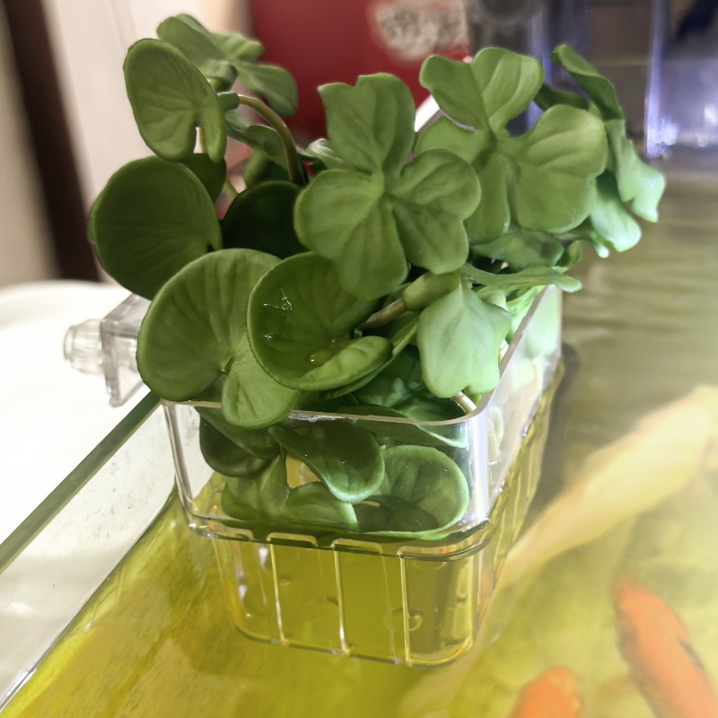 1/5pcs Aquarium Decoration Pla - đánh giá và giá Aquarium Fish Farm