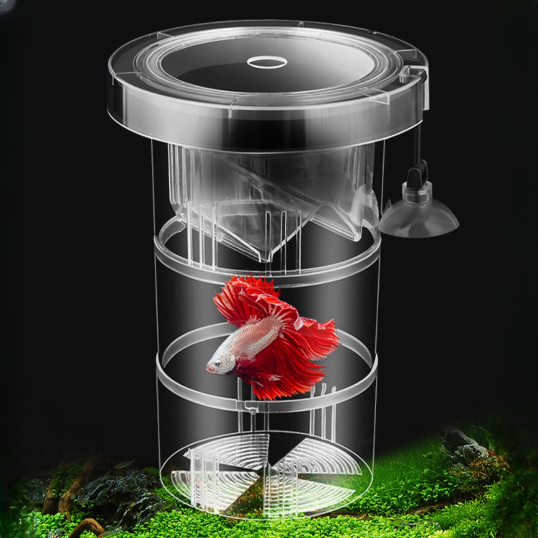 Acrylic Floating Fish Breeding - đánh giá và giá Aquarium Fish Escape