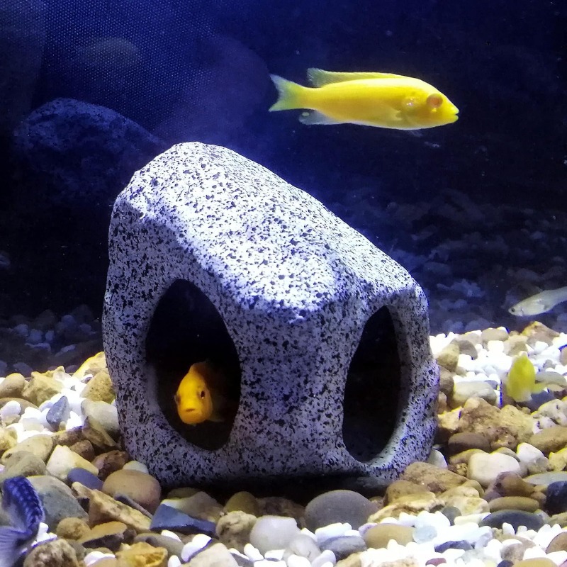 Fish Tank Cave Stone Landscapi - đánh giá và giá Aquarium Fish Tank Price