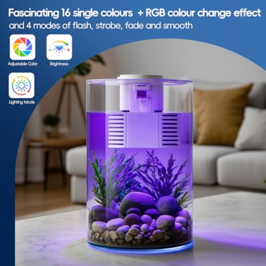 3 Gallon Self Cleaning Fish Ta - đánh giá và giá Fish Co Aquarium